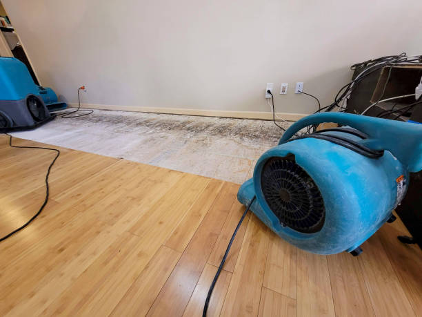 Professional Water Damage Repair technician working in Holt, AL
